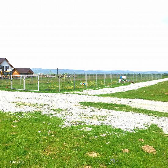 Teren Valea Avrigului