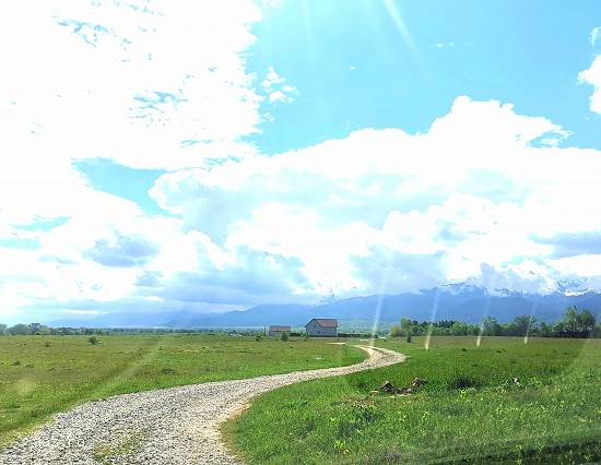 800,  1000,   1500,  2000,   4000 mp teren Valea Avrigului Sibiu