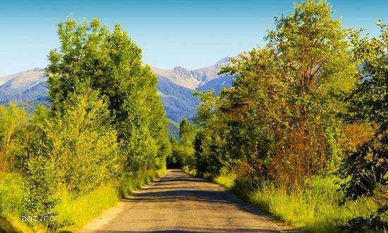 800,  1000,   1500,  2000,   4000 mp teren Valea Avrigului Sibiu