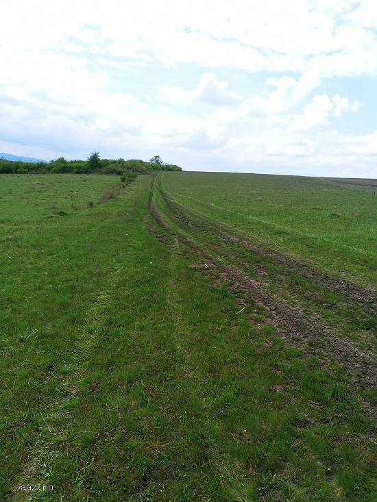 14400,     12800 mp teren Rusciori,    Sibiu