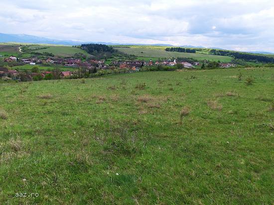14400,     12800 mp teren Rusciori,    Sibiu