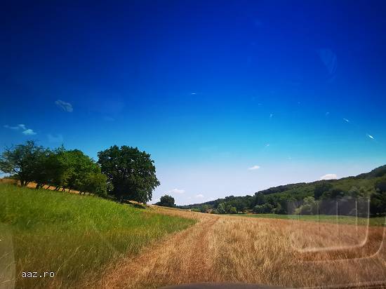 12500 mp teren Sibiu langa autostrada Sibiu-Sura Mica