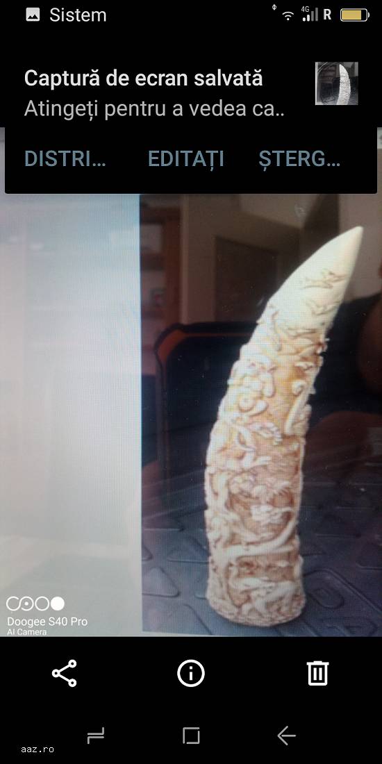 Corn de Fildeș de elefant