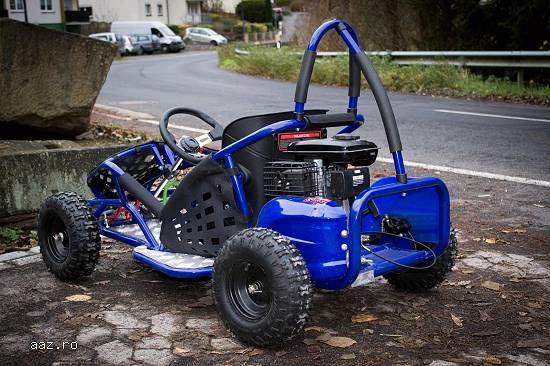MINI NITRO KARTBUGGY KING 1000W#AUTOMATA