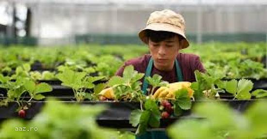 Muncitori din Asia,    pentru cei care au nevoie de personal - 📱 0770.745.973