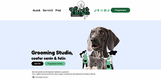 Creare website / Magazin online / Hosting / Mentenanta