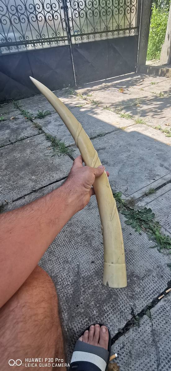 Fildeș sculptat
