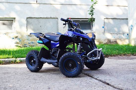 Mini Atv