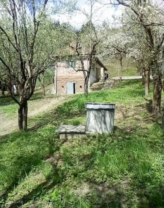 Casa Seini Maramures,   2 camere,   teren 3.600 mp,   42.000 euro