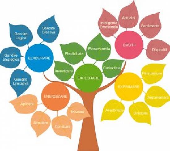 Cursuri Dezvoltare personala,   activități,   programe educative copii