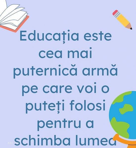 Meditații Limba și Literatura Română