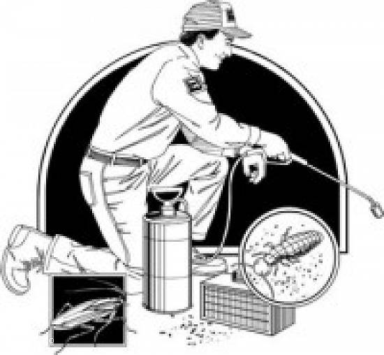 Personal curatenie Complex Agroalimentar Crangasi