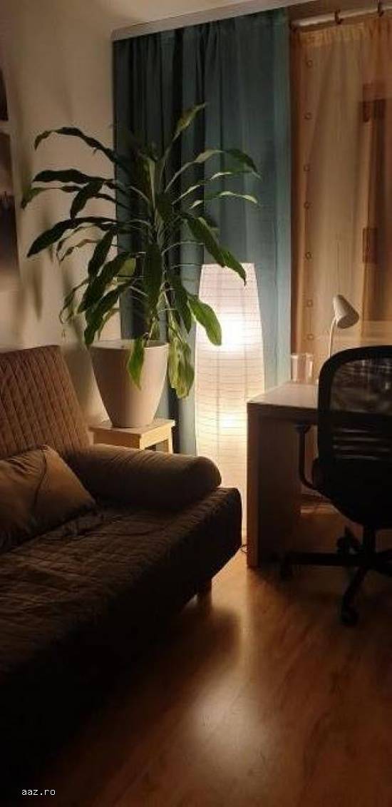 Inchiriere apartament 2 camere B-dul Constantin Brincoveanu,   37mp,   350euro