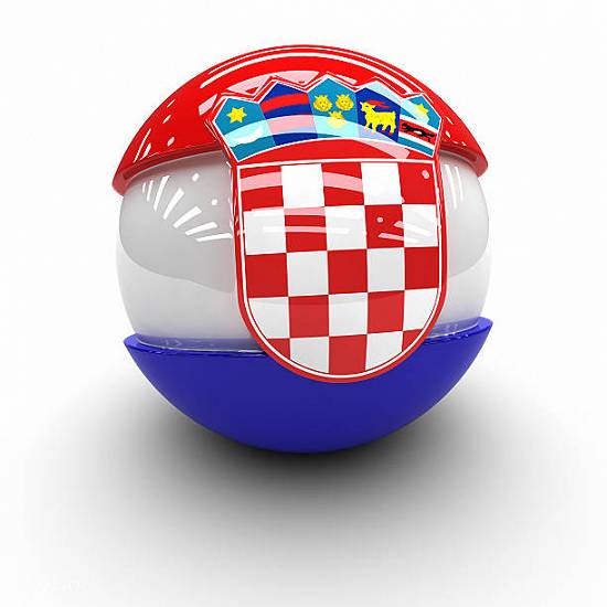 Croata,   Sarba,   Albaneza,   Macedoneana,   Bosniaca [engleza] - efectuez traduceri in Oradea+Roma