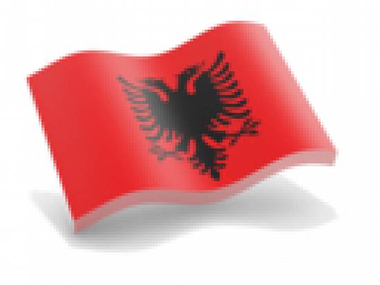 Croata,   Sarba,   Albaneza,   Macedoneana,   Bosniaca [engleza] - efectuez traduceri in Oradea+Roma