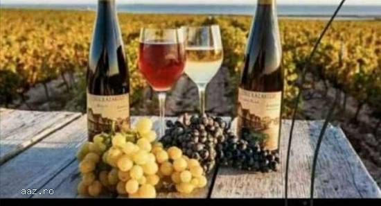 Struguri de vin producție 2023