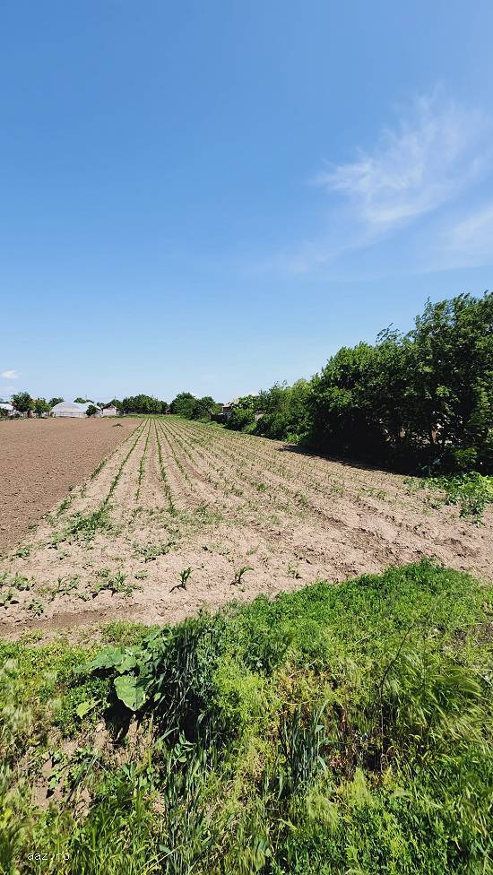 SE VINDE TEREN INTRAVILAN 1300 MP LA SUPERT PRET!