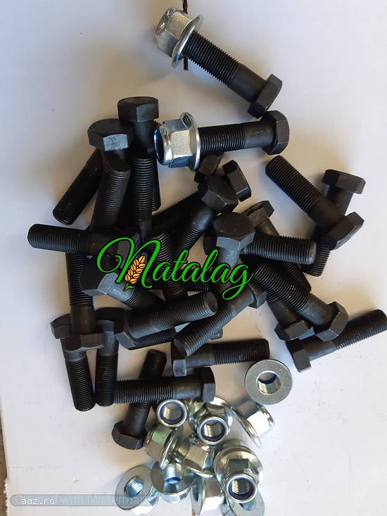 Surub freza agricola RABE  tf 0745050461