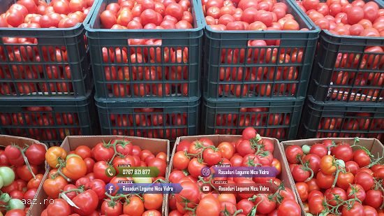 Rasad rosii | Rasaduri rosii / tomate si alte rasaduri legume 2024
