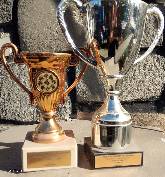 Trofee CACIB competitie cania internetionala