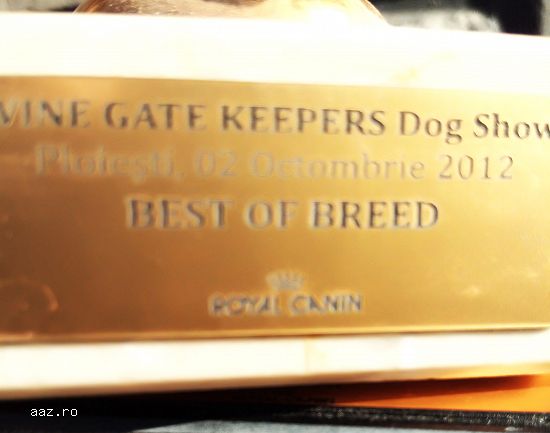 Trofee CACIB competitie cania internetionala