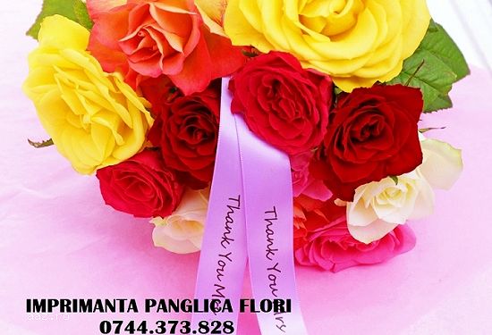 Imprimanta scriere panglici textile / PVC,   pentru florarii si cadouri personalizate.