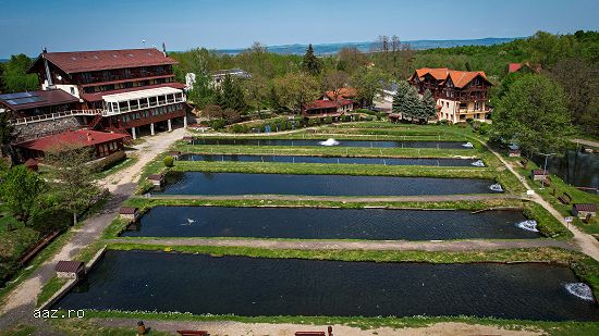 Complex Turistic Păstrăvăria Albota