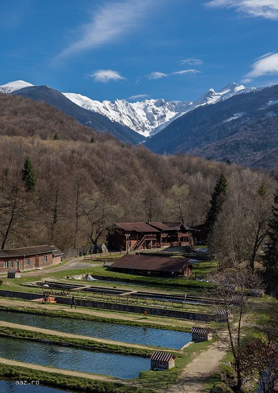Complex Turistic Păstrăvăria Albota