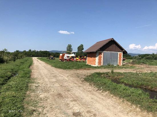 Ferma bovine - Satu Mare!!!