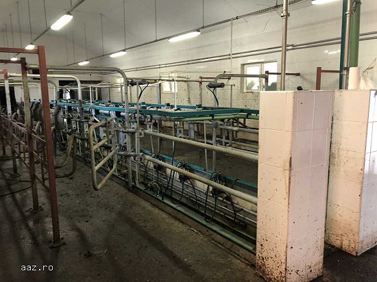 Statie de muls FGM Euro Glass