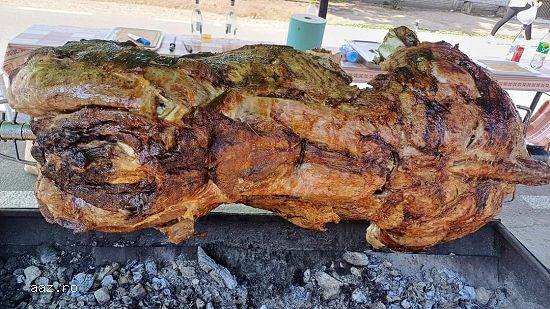 Pregătesc proțap oaie,   porc,   pui,   vitel.