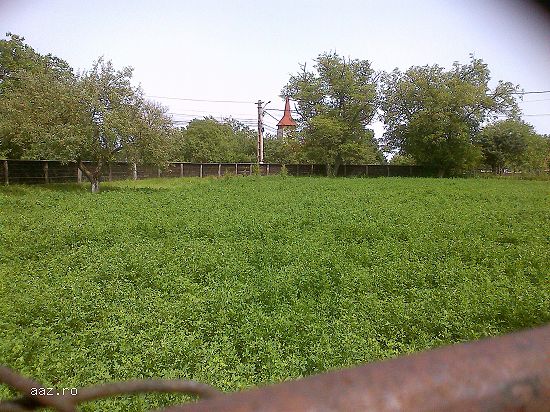 Vanzare Proprietate Privata