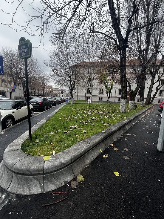 Amenajări curți,   grădini și spații verzi
