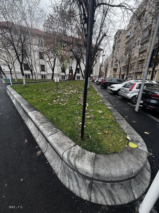 Amenajări curți,   grădini și spații verzi