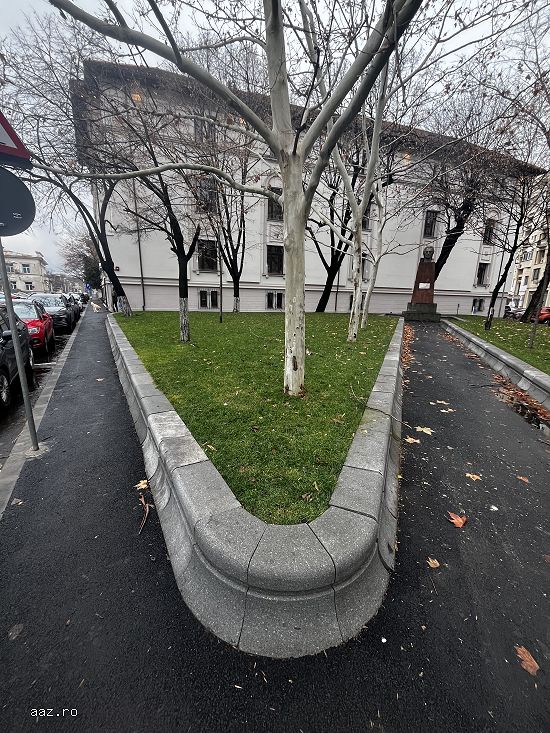 Amenajări curți,   grădini și spații verzi