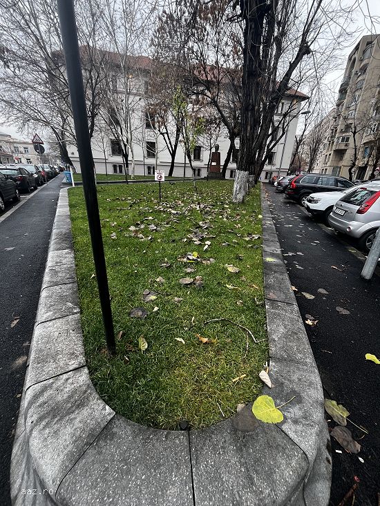 Amenajări curți,   grădini și spații verzi