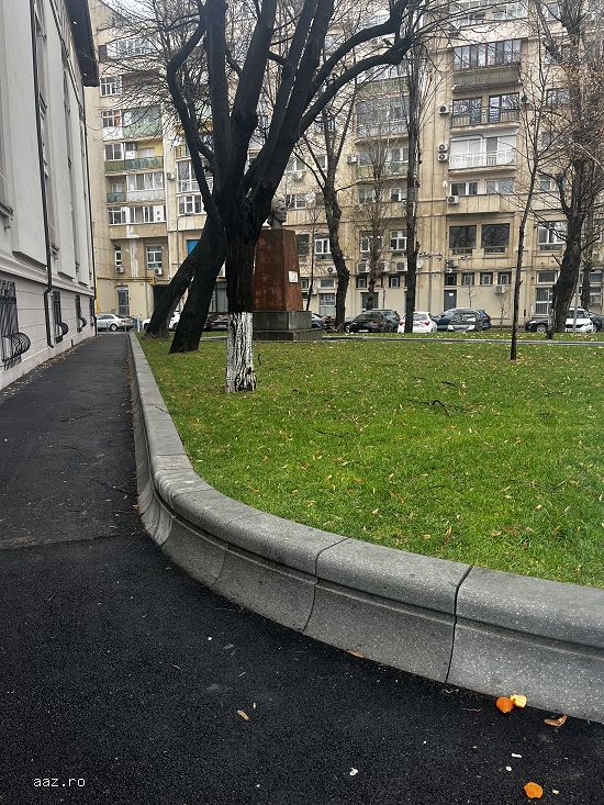 Amenajări curți,   grădini și spații verzi