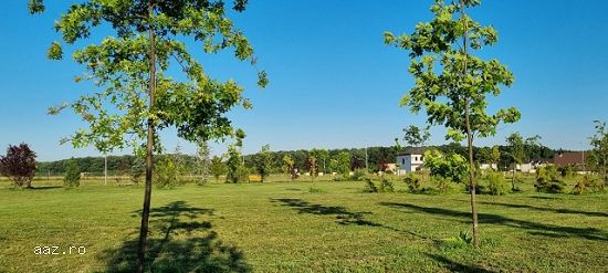 Teren de vanzare,    Gulia,    complex Eden Forest,    deschidere 30ml,    937 mp,    53.000euro