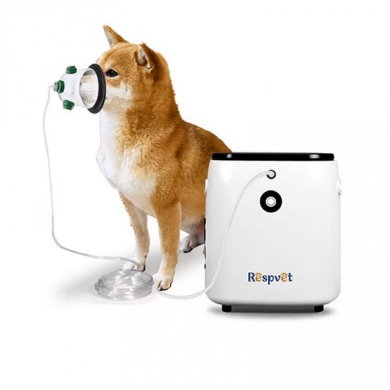 Concentrator oxigen 7L ICU B1 – ideal pentru cabinete veterinare