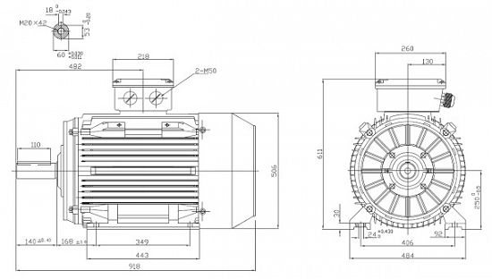 Motor electric trifazat 55kw 3000rpm 250 B3