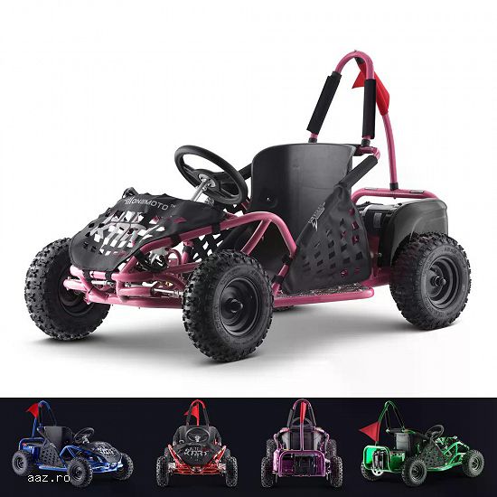 Kart electric pentru copii Kinder ecoGokart 1000W,   baterie 48V