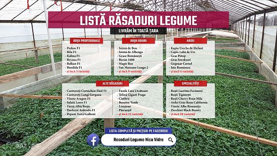 Vand rasaduri legume : Rasad de rosii / tomate castraveti ardei vinete 2026