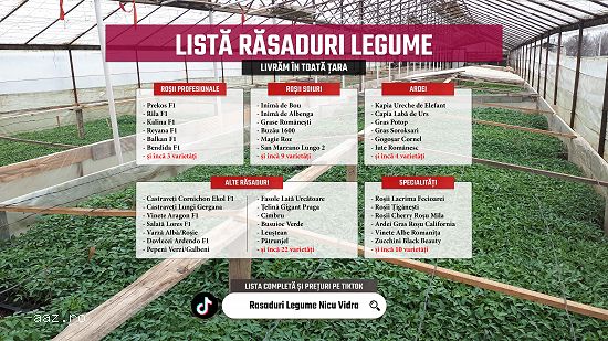 Rasad rosii | Rasaduri rosii / tomate si alte rasaduri legume 2026