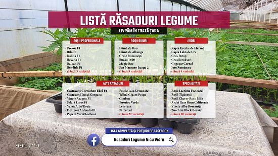 Vand Rasad | Rasaduri Rosii Rila Kalina Prekos Buzau Inima bou Cherry