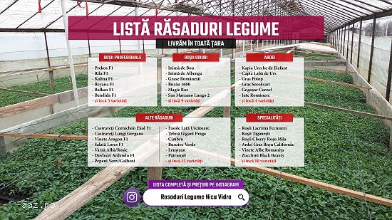 Rasad tomate rosii vinete castraveti ardei 2026 | Vand Rasaduri Legume