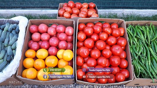 Rasaduri Legume : Rasad de rosii tomate ardei vinete castraveti varza 2026