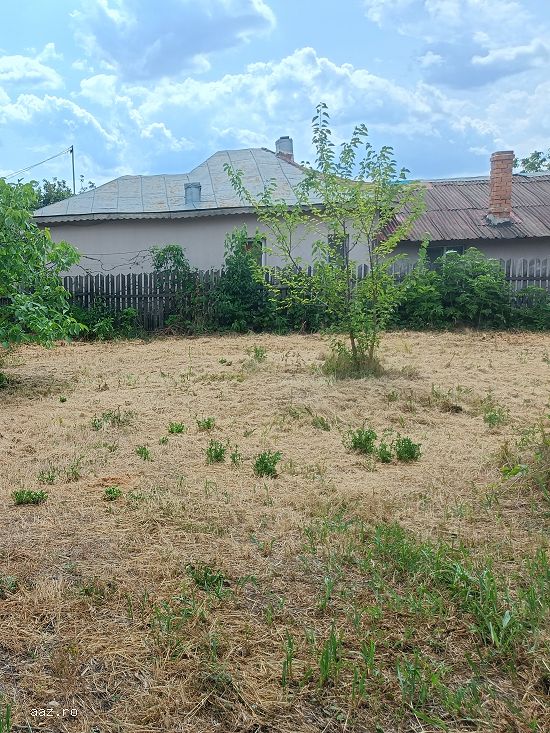 6 parcele intravilane de 485 mp în Mihai Vodă,         Bolintin Deal,         650 metri de Primari