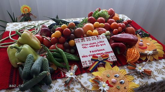 Vand rasaduri legume: Rasad de rosii ardei vinete castraveti salata varza telina dovlecel etc