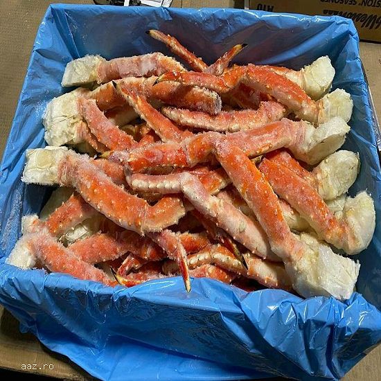 Frozen Fresh Lobsters Wholesale / Frozen Fresh Lobsters