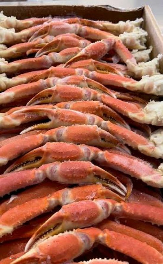 Frozen Fresh Lobsters Wholesale / Frozen Fresh Lobsters